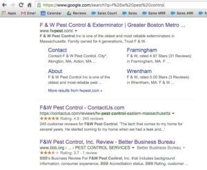 Showing SEO is Alive