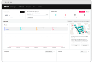 TikTok Ads Manager Account