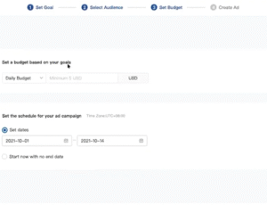 Set Your Budget Tiktok